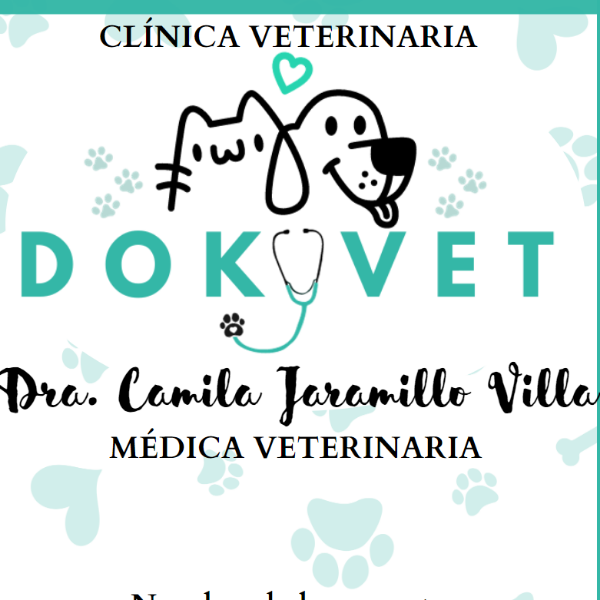 Veterinaria Dokyvet