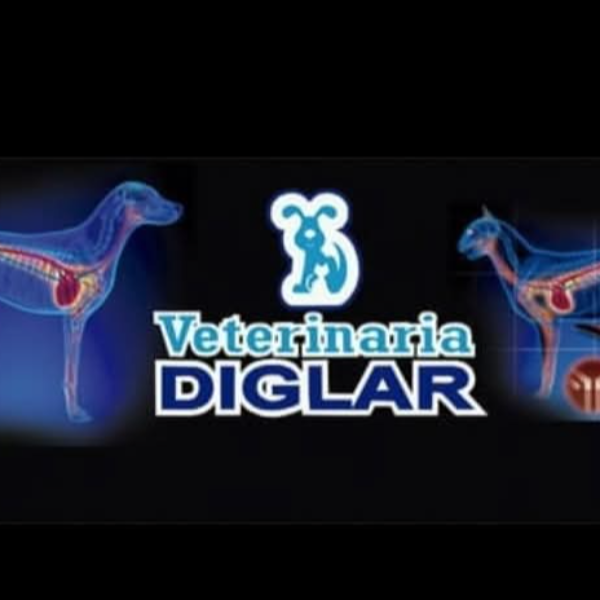 Veterinaria Diglar