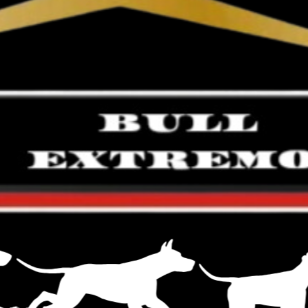 Suplementos BULL EXTREMO